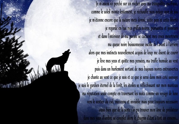 le loup noir